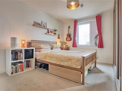 Picture 8